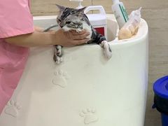 -多卡布奇宠物生活馆(上林世家店)