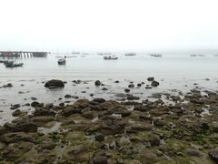 -花乐餐厅(涠洲岛店)