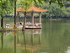 -西樵山风景名胜区-天湖公园