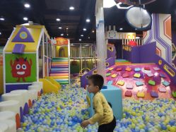 -哈尼兔儿童游戏乐园(沈阳大东龙之梦店)