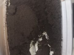 -85度C(高邮世贸金街店)