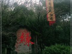 -杭州黄龙洞
