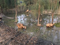 -溱湖国家湿地公园