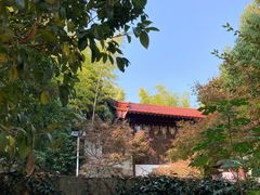 -求雨山文化公园