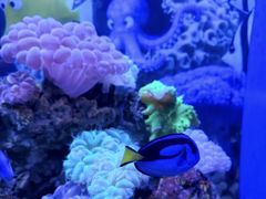 -多彩贵州城极地海洋世界