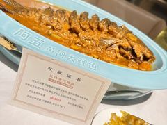 -阿五黄河大鲤鱼(纬三路店)