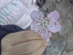 -北京凤凰岭
