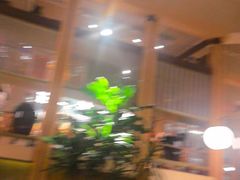 -一坐一忘云南菜(卓悦中心)