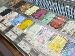 -iceason爱茜茜里·意大利健康冰淇淋(骑龙巷店)
