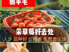 -小鱼草莓采摘园农家乐·小鱼餐厅