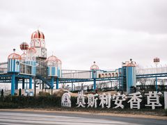 -季高兔窝窝亲子园(上海薰衣草公园店)