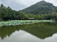 -八卦田遗址公园