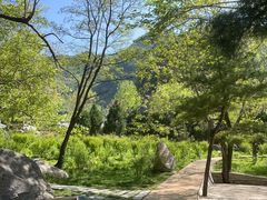 -秦岭终南山世界地质公园翠华山景区