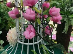 -万达广场(南京江宁店)