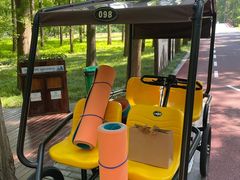 -黄海国家森林公园