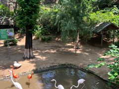 -西霞口神雕山野生动物世界