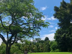 -中国科学院西双版纳热带植物园