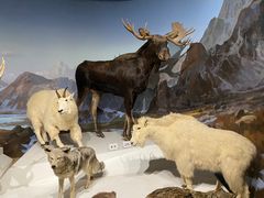 -陕西自然博物馆