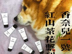 -CHANEL(友谊商店店)