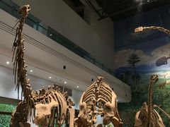 -自贡恐龙博物馆