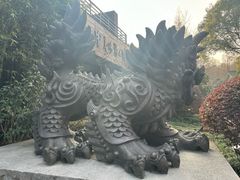 -杭州植物园