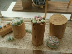 -云朵上的鱼(莘庄店)