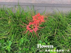 -西安大兴善寺
