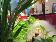 -好瑜筷桂鱼专门店(植物园店)