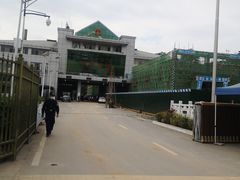 -打洛口岸