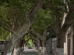 -南通濠河风景名胜区