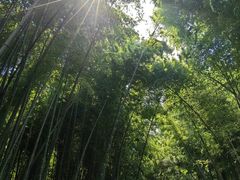 -同里国家湿地公园