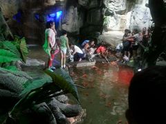 android_upload_pic-泉城欧乐堡海洋极地世界