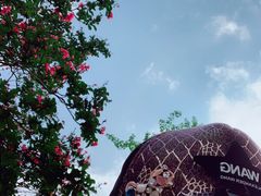 -大理文庙(大理古城)
