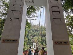 -西双版纳原始森林公园