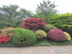 -中国茶叶博物馆(双峰馆区)