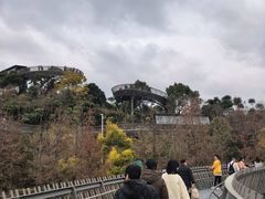 -福道