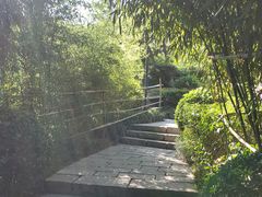 -竹子庵公园
