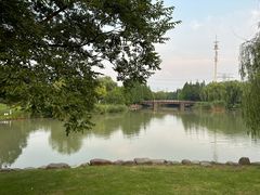 -九里河湿地公园