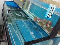 -渔民船说·北塘海鲜·天津菜·海肠捞饭(北塘古镇店)