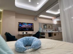 -致友月子会所(麓湖店)