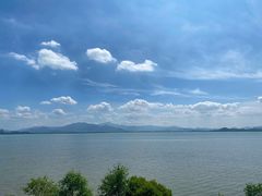 -深圳湾公园(南山区)