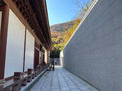 -横山寺