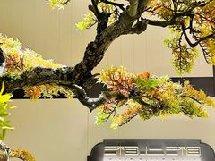 -湘上湘(米其林餐厅-正大中心总店)