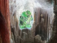 -疯狂屋