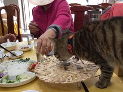 -官塘陈记鱼生·潮汕砂锅粥·牛肉火锅(潮枫路总店)