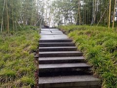 -邓小平故里
