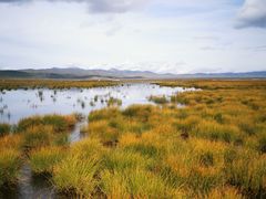 -花湖生态旅游区