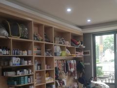 -千城康桥宠物医院·猫科·骨科·心脏