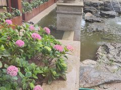 -青岛鑫江温德姆酒店