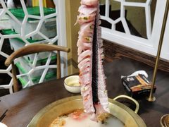 -土著渔匠·养生蝴蝶鱼(香樟路店)